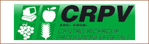 link_crpv